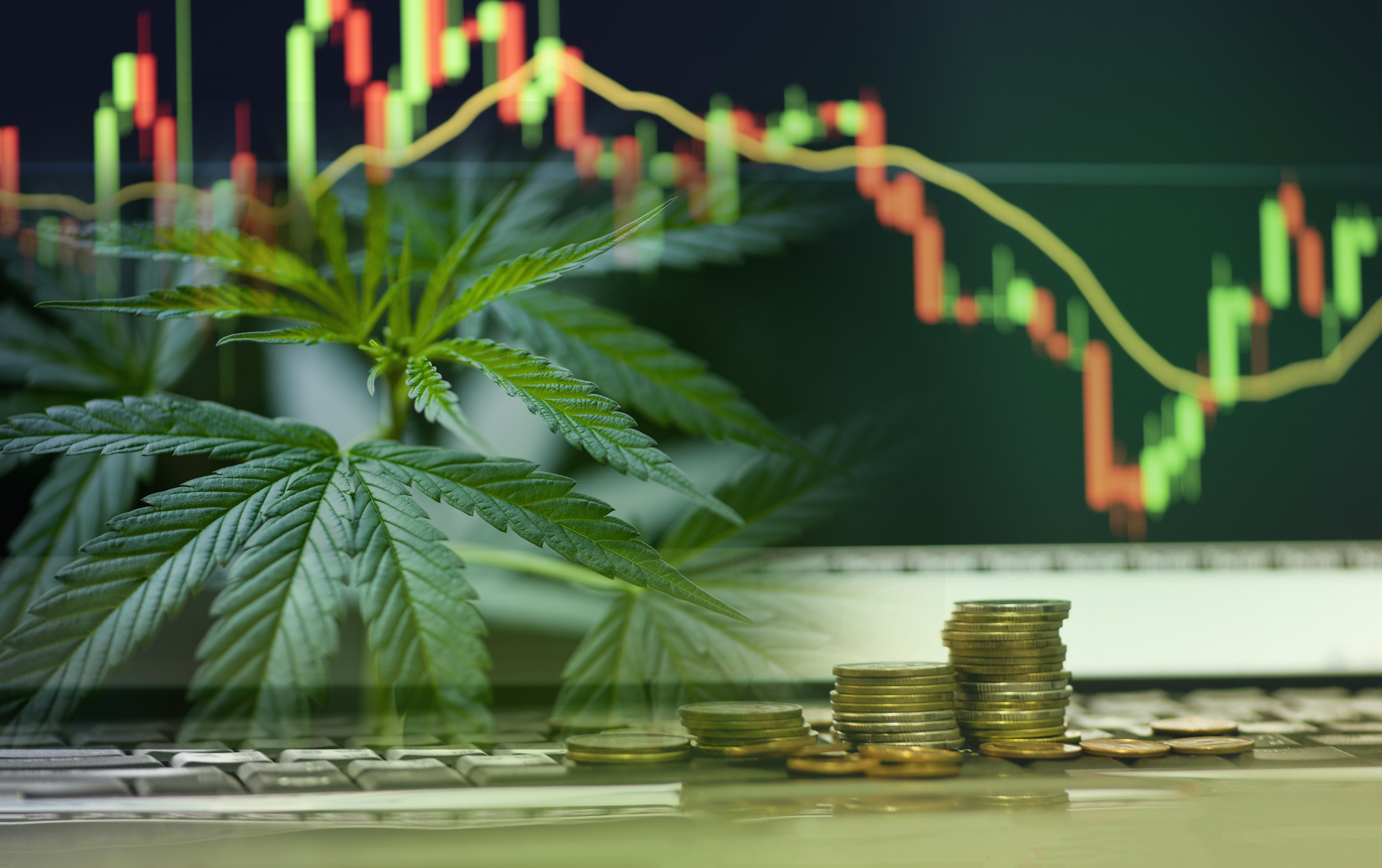How to trade Cannabis shares CFDs